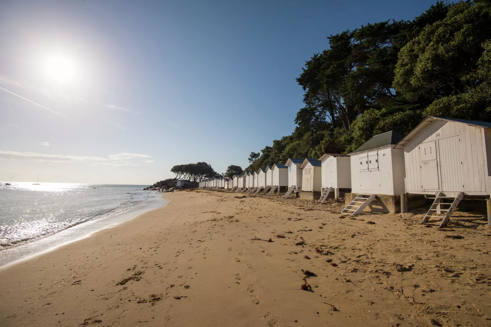 Résidence Prestige le Domaine des Pins 1-Gebieden zomer 20km