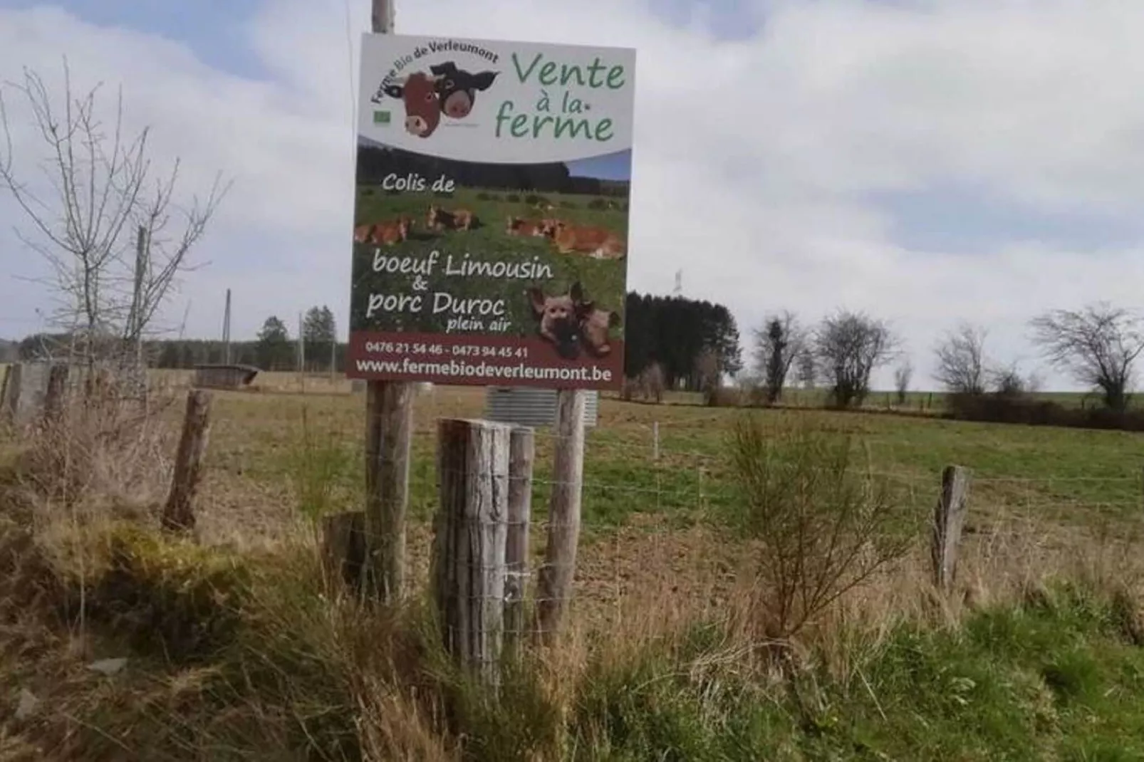 Très belle habitation à Lierneux pour 5 adultes-Gebieden zomer 1km