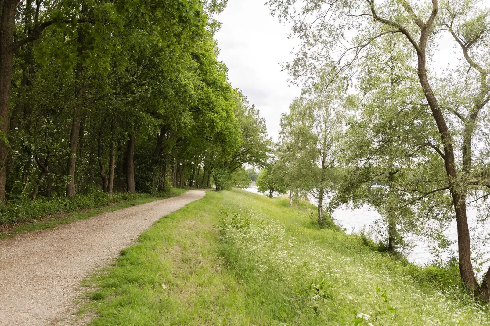 De Riethorst 2-Gebieden zomer 1km