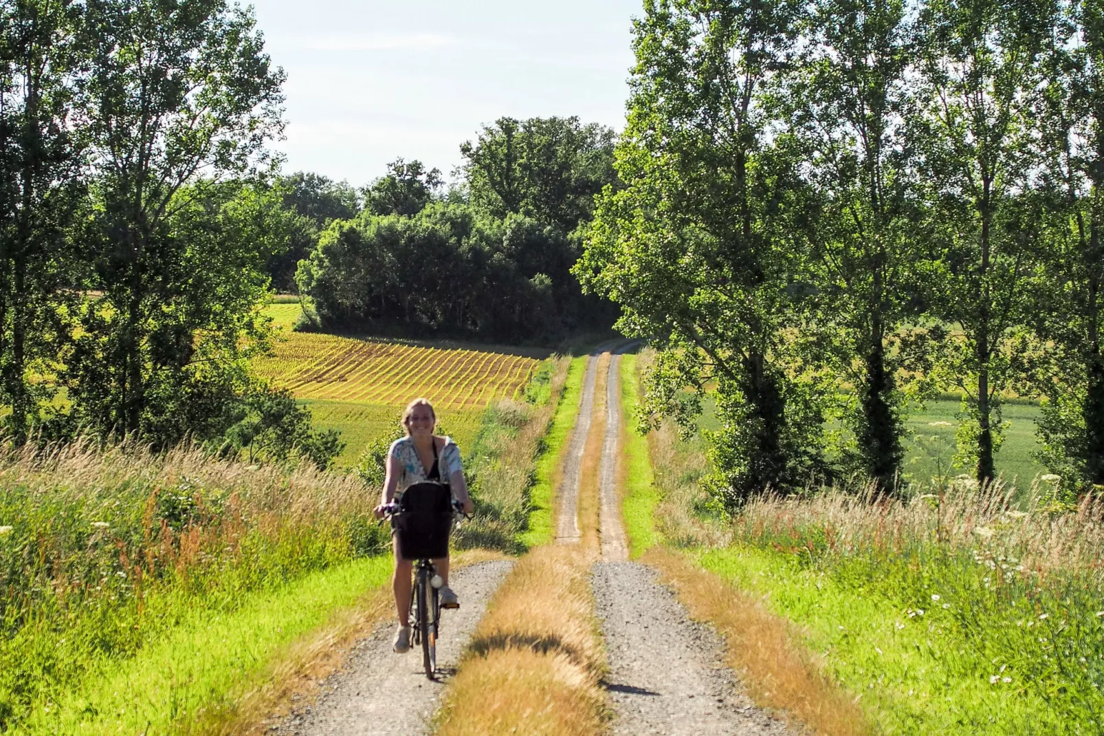 La Tour-Gebieden zomer 1km