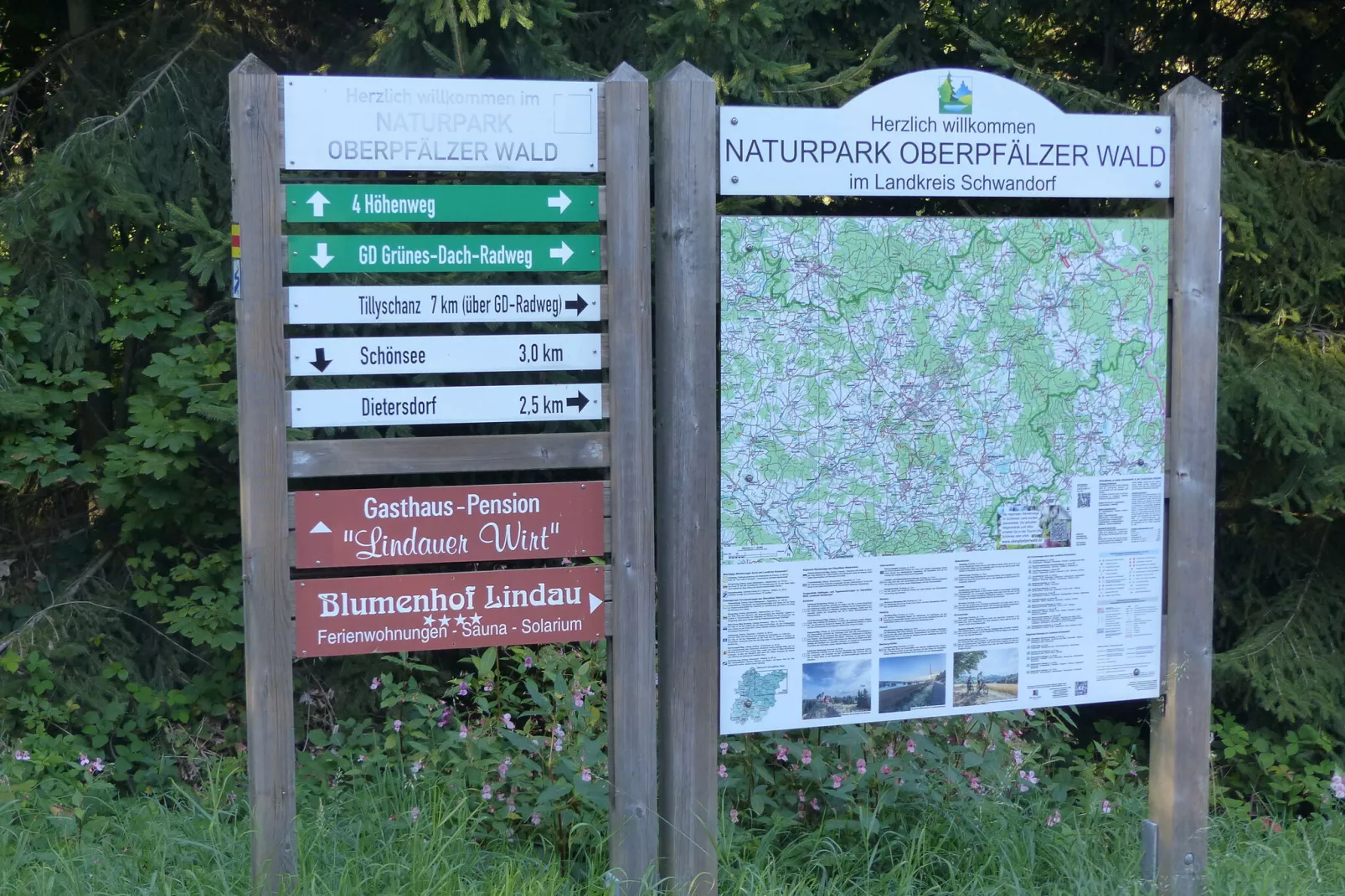 Weiherblasch-Gebieden zomer 5km