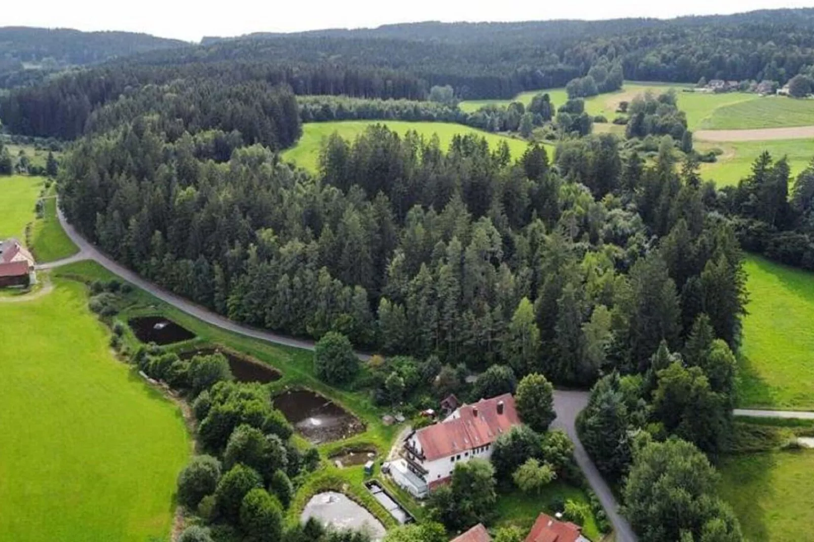 Weiherblasch-Gebieden zomer 1km