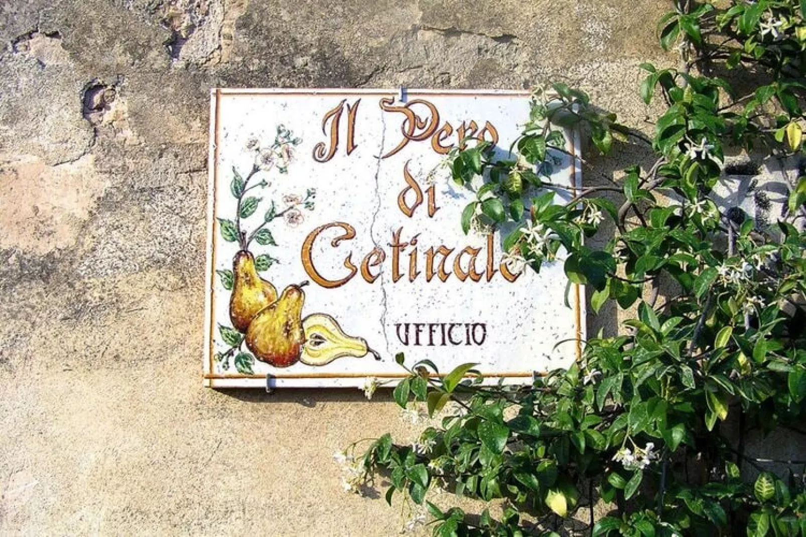 Residence Il Pero di Cetinale Sovicille Typ C 105 qm-Buitenkant zomer