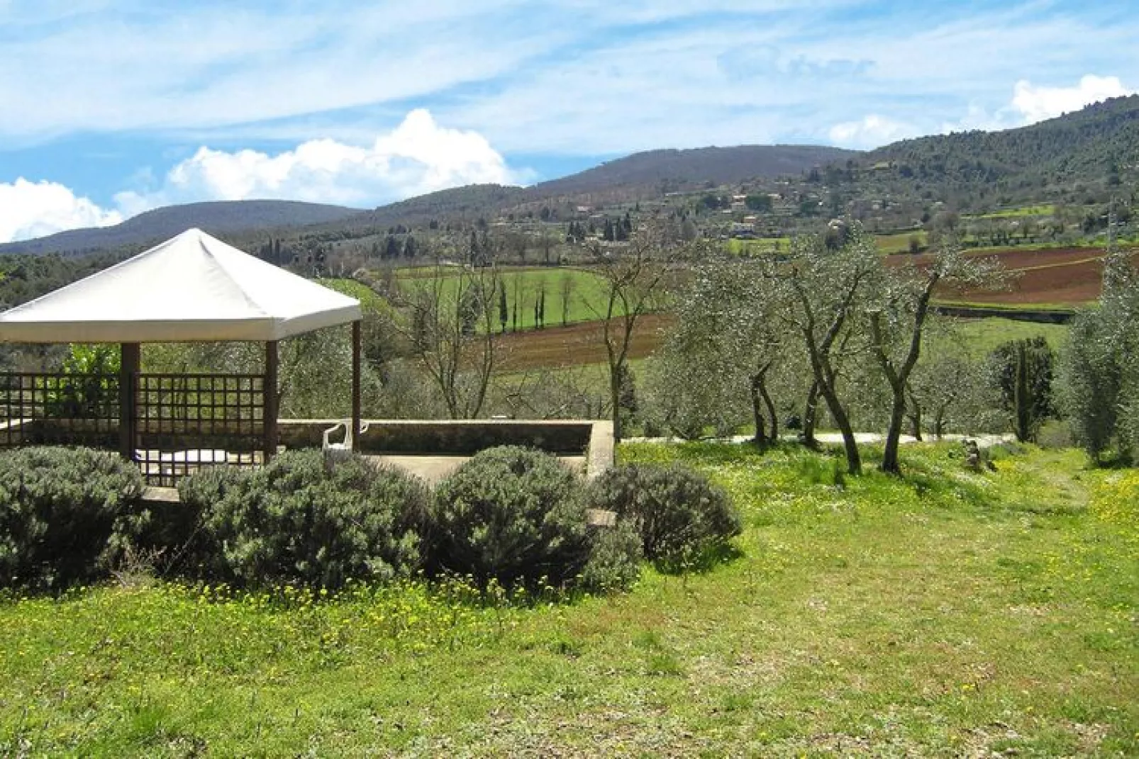 Residence Il Pero di Cetinale Sovicille Typ C 105 qm-Buitenkant zomer