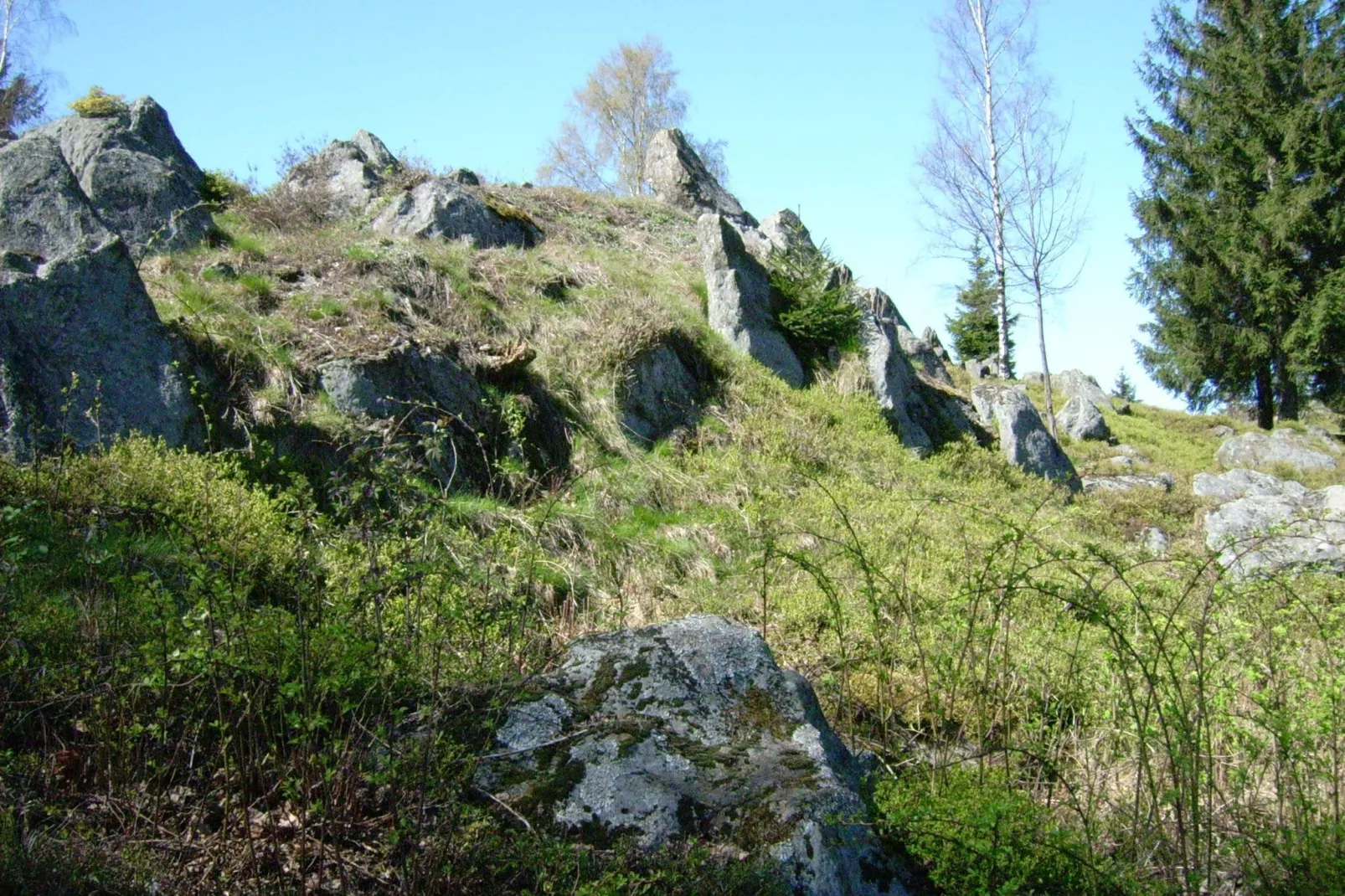 Am Hochfels-Gebieden zomer 5km