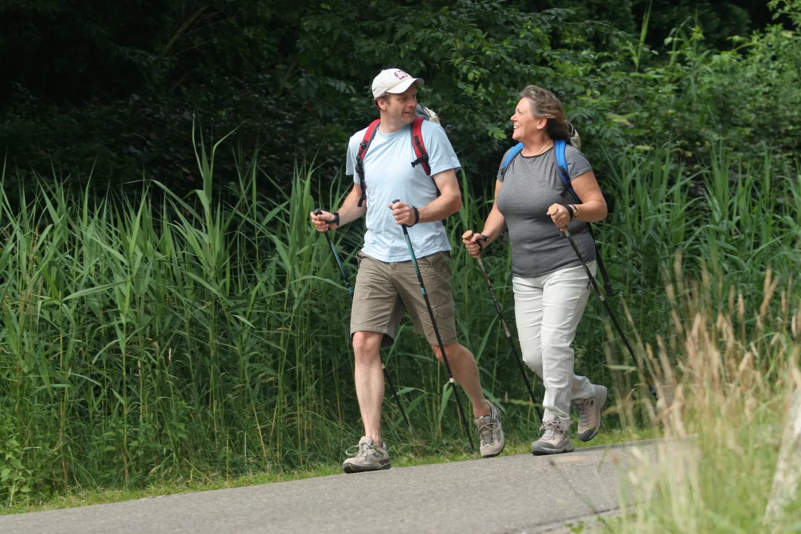 De Riethorst 1-Gebieden zomer 1km