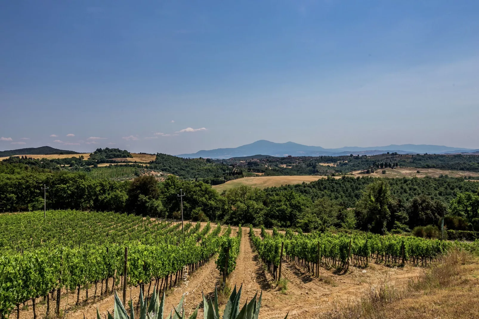 Villa Sangiovese-Uitzicht zomer