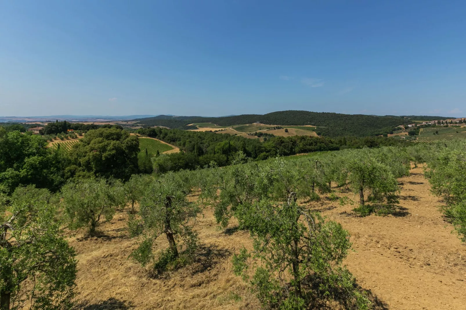 Villa Sangiovese-Gebieden zomer 1km