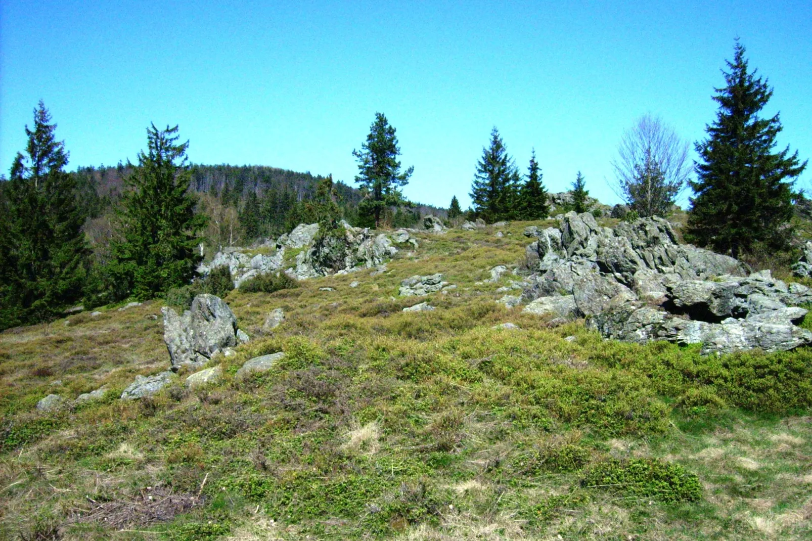 Am Hochfels-Gebieden zomer 5km