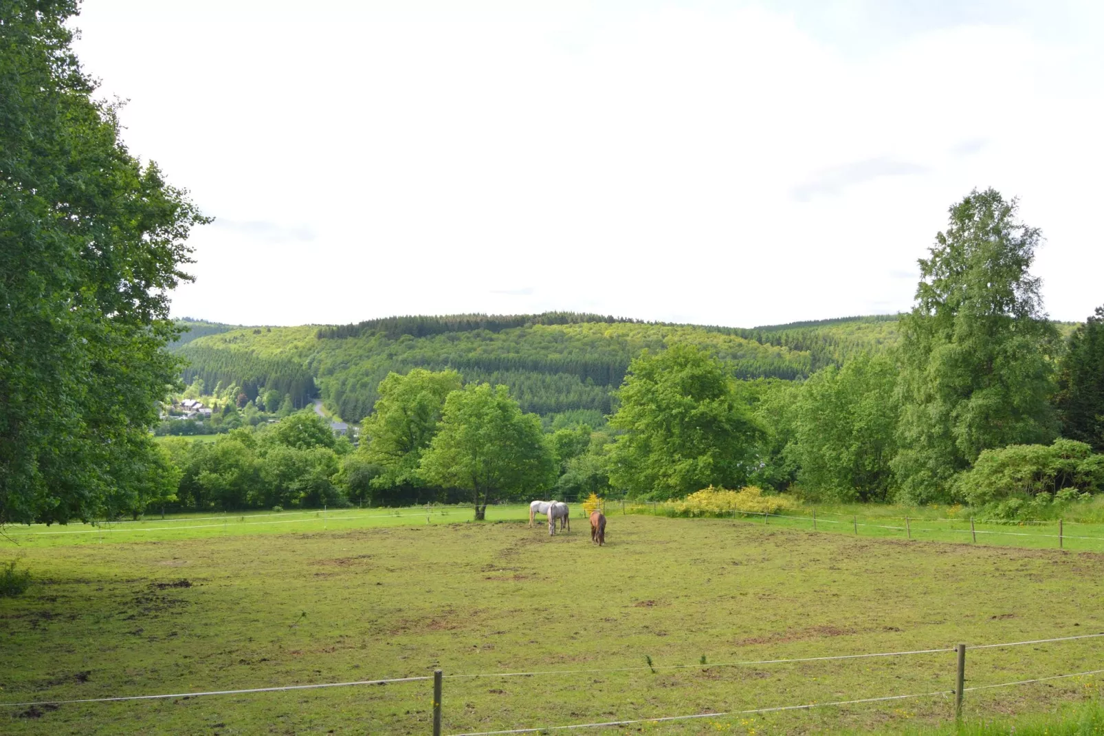 Chalet de la Vallée-Uitzicht zomer