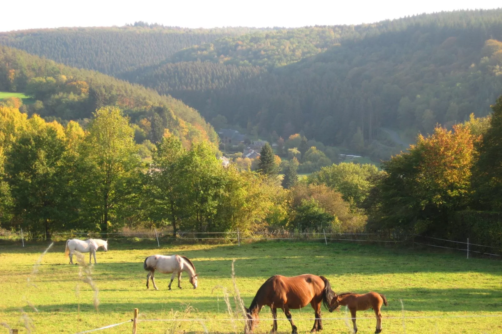 Chalet de la Vallée-Gebieden zomer 1km