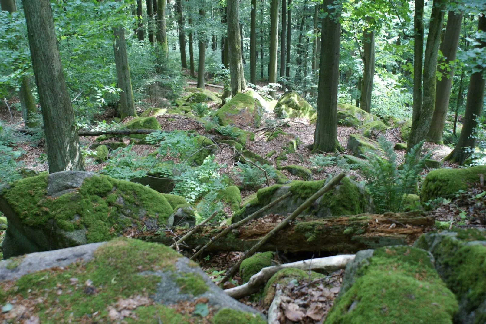 Ferienhaus Bavaria-Gebieden zomer 20km