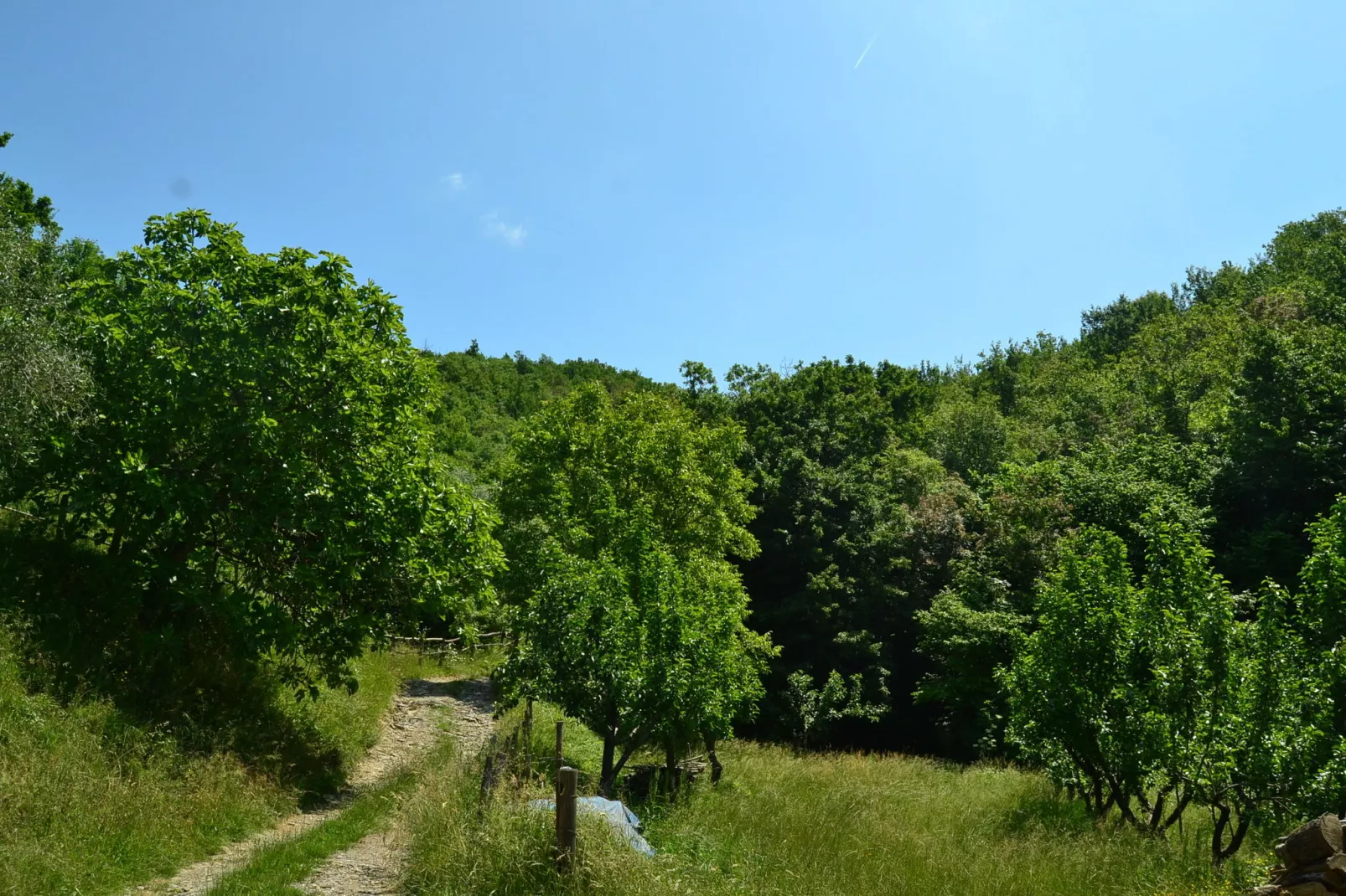 Casa Mazzola-Gebieden zomer 5km