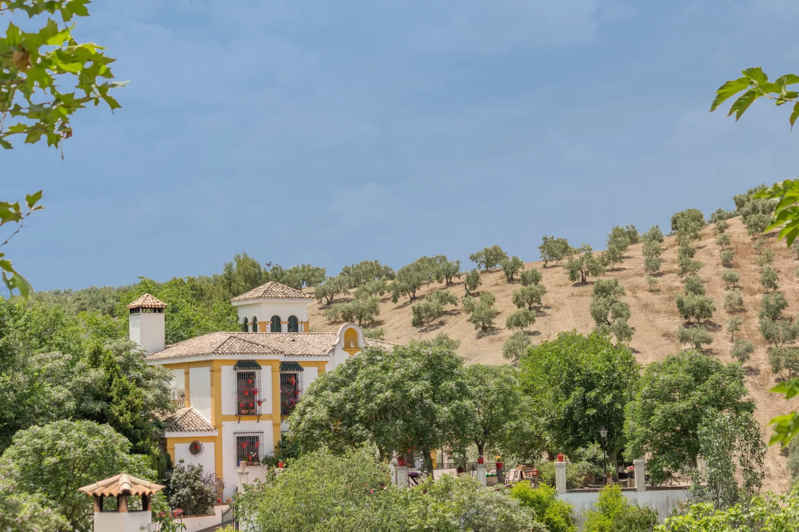 Cortijo La Mimbre-Buitenkant zomer