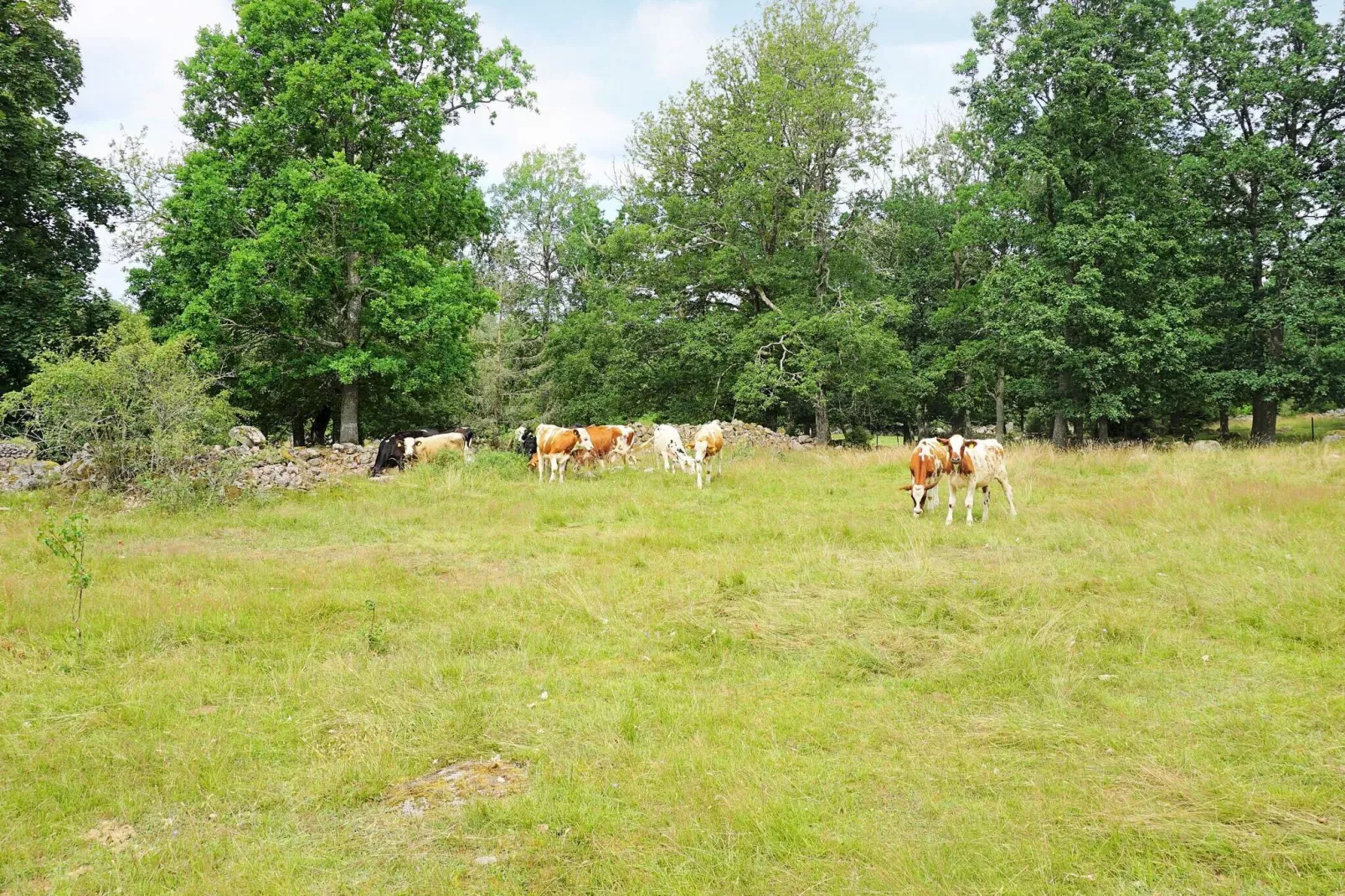 5 persoons vakantie huis in TINGSRYD-By Traum-Niet-getagd