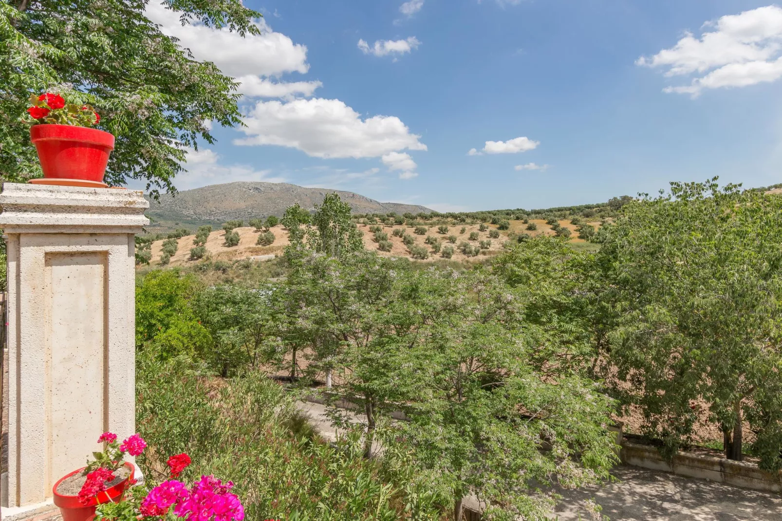 Cortijo La Mimbre-Uitzicht zomer