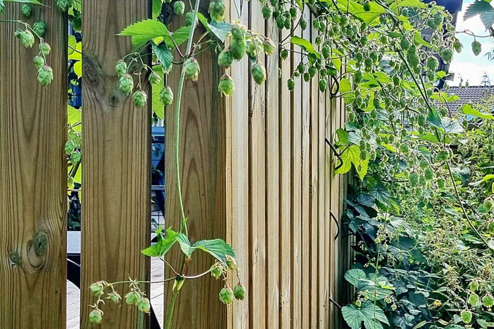 4 persoons vakantie huis in UDDEVALLA-By Traum-Buitenlucht