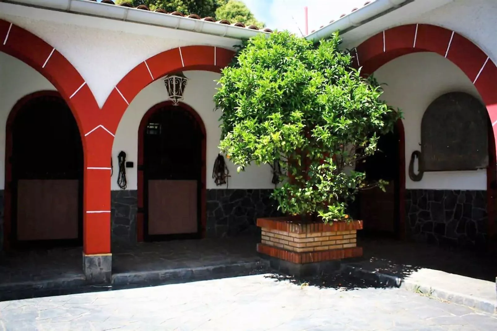 Hacienda Lugar de Sinde-Terrasbalkon