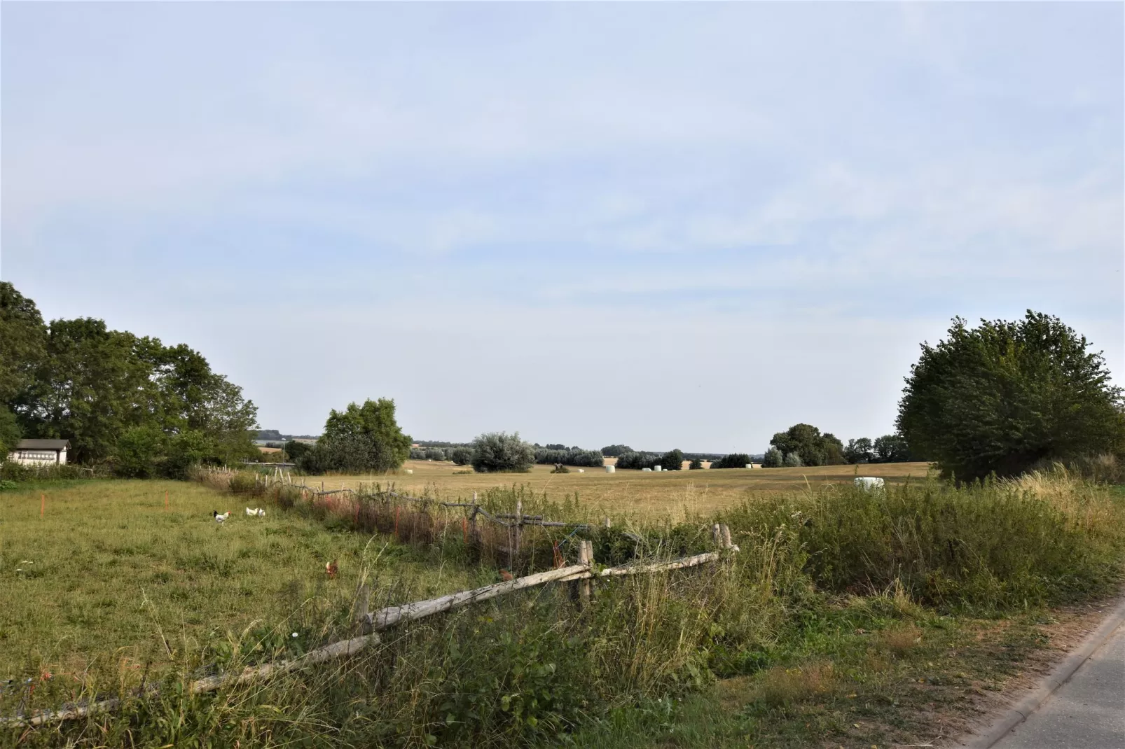 Ferienwohnung Landidyll am Salzhaff-Uitzicht zomer