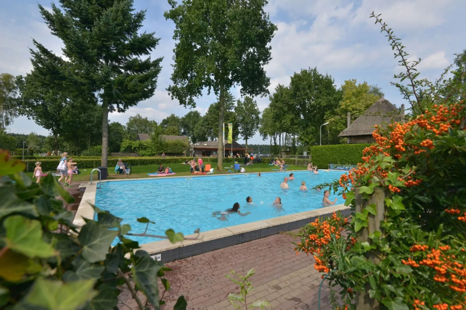 Resort De Wije Werelt 3-Gebieden zomer 1km