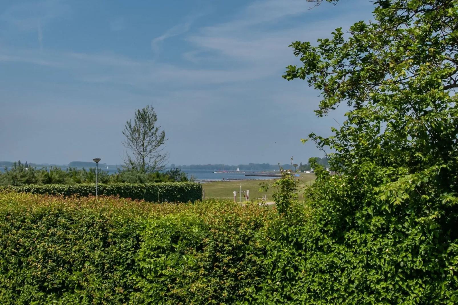 Waterhoenlaan 8-Uitzicht zomer