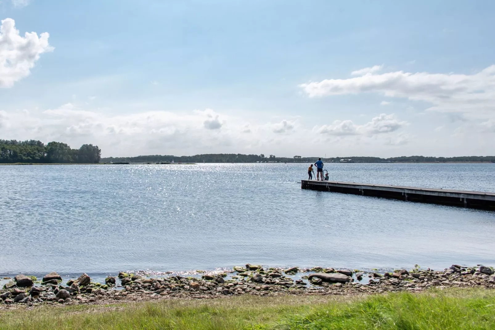 Waterhoenlaan 8-Gebieden zomer 1km