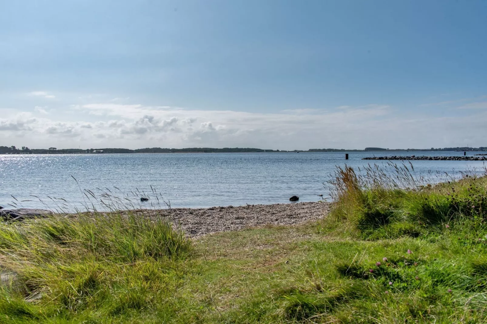 Waterhoenlaan 8-Gebieden zomer 1km