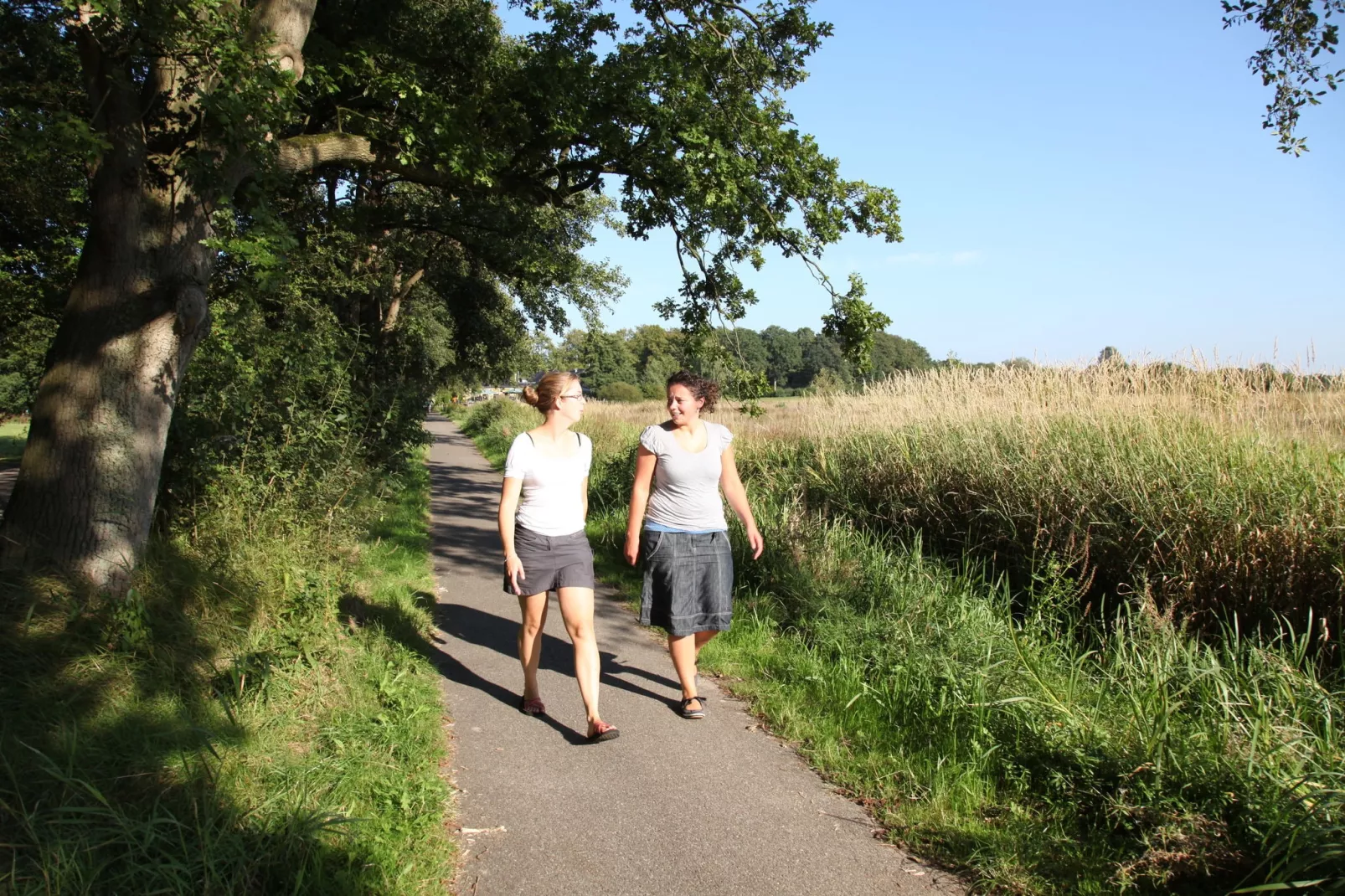 Villapark Akenveen 1-Gebieden zomer 5km
