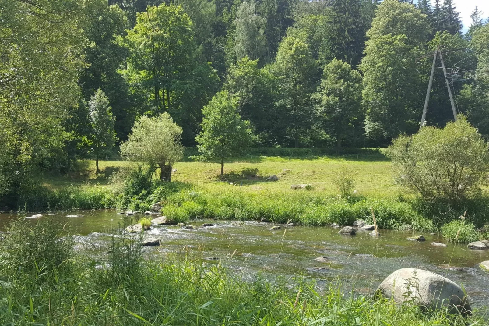 Dom Sokolik-Forest Apartment-Gebieden zomer 1km