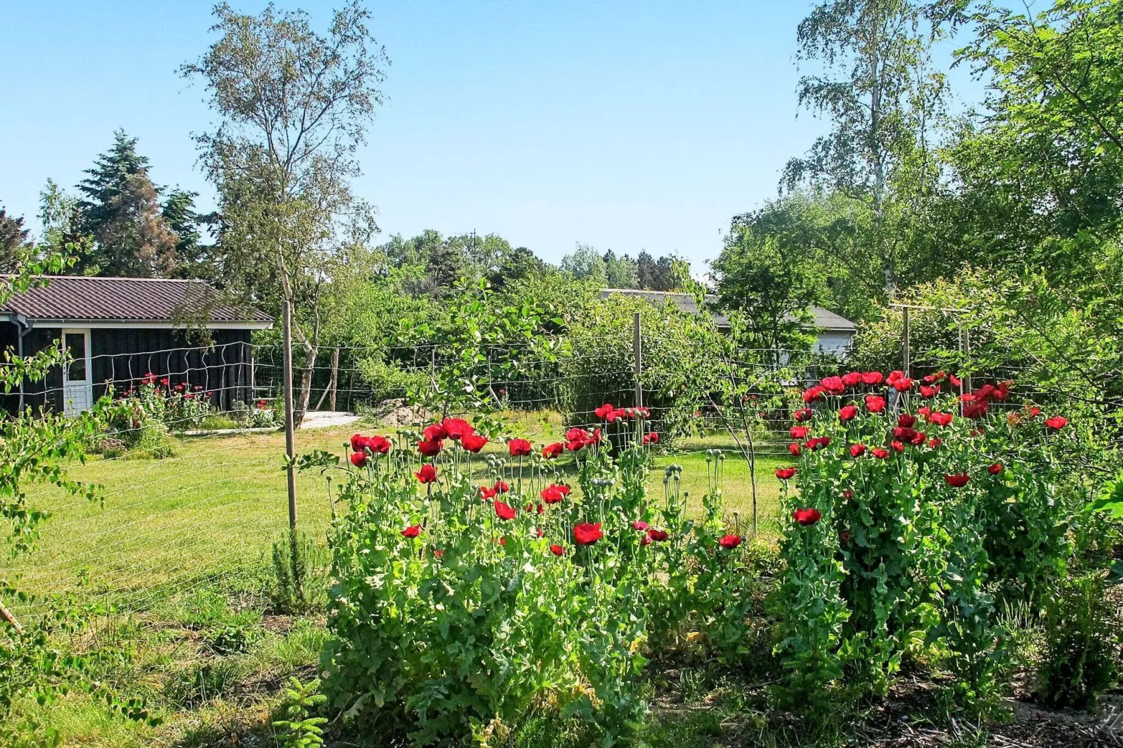 6 persoons vakantie huis in Rødby-Buitenlucht