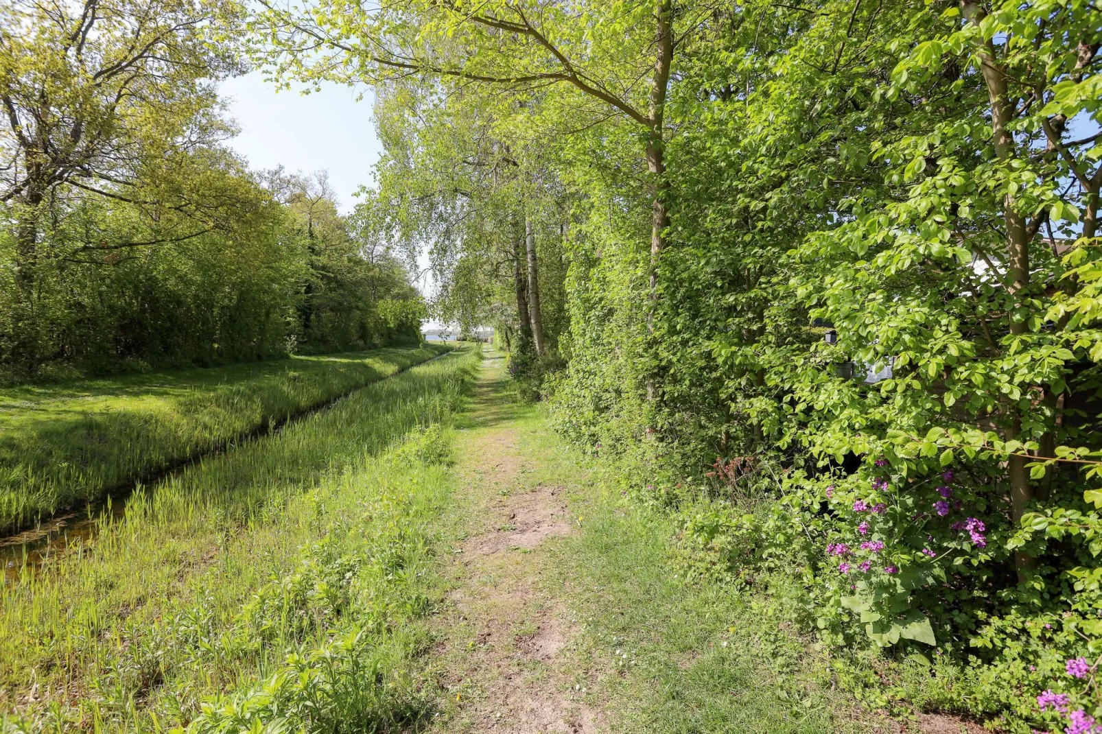 Iepenlaan 14-Gebieden zomer 1km