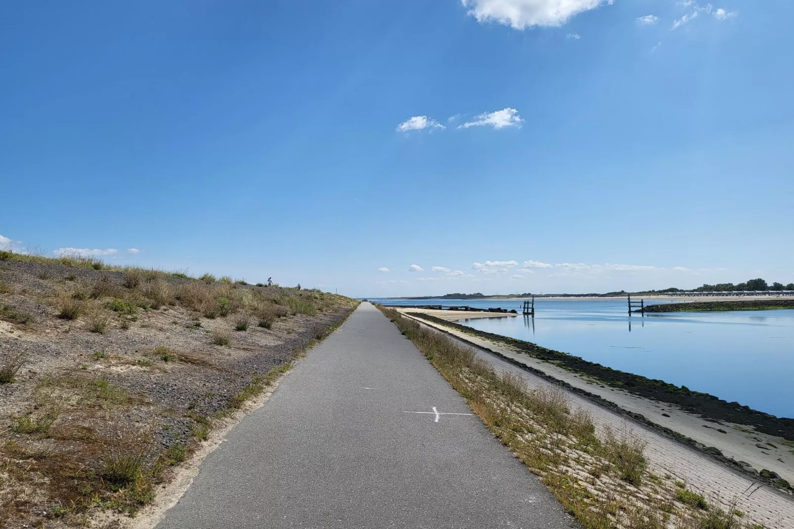 Ostrea 152-Gebieden zomer 1km