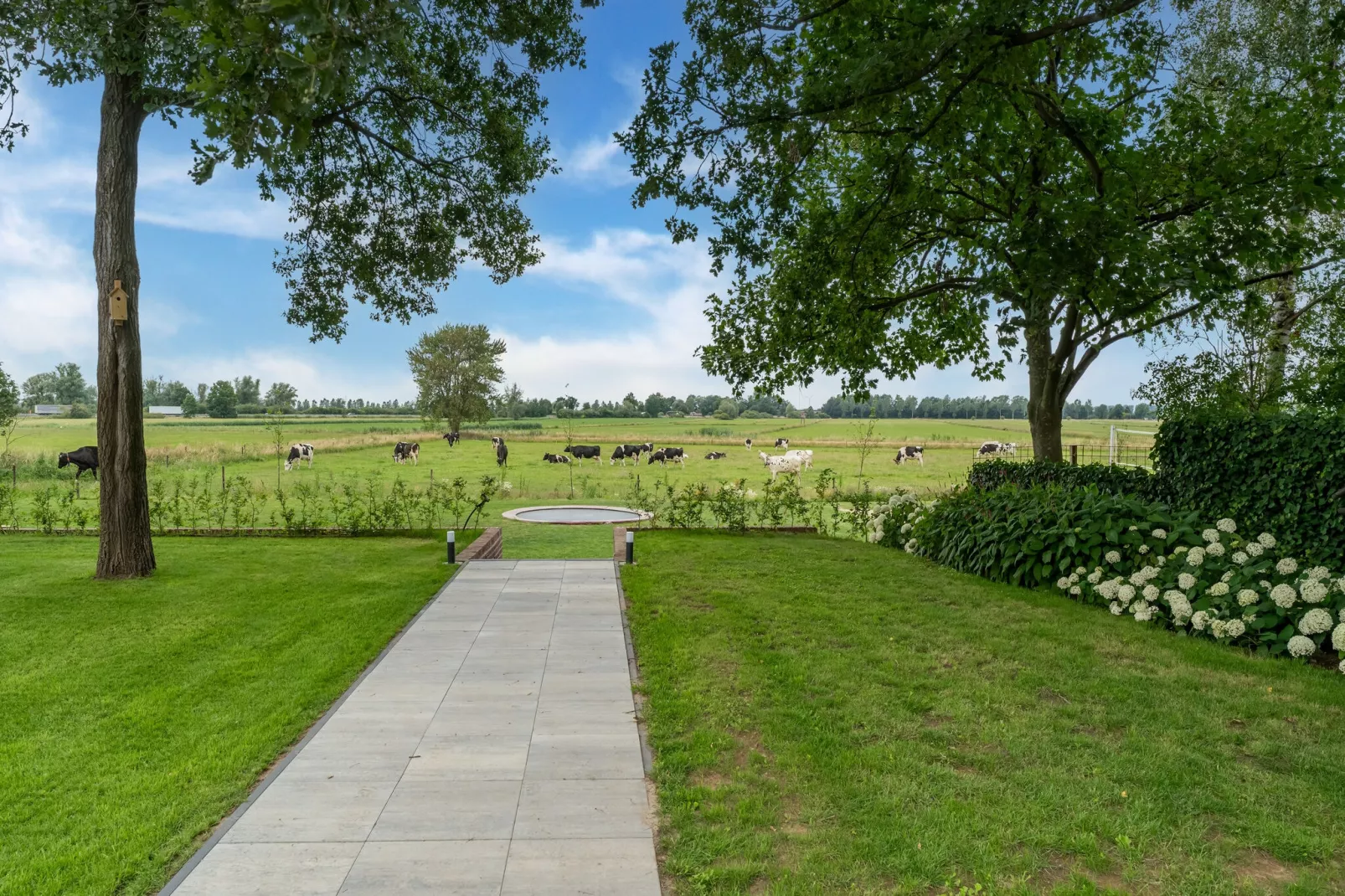 Hoeve Grenszicht-Uitzicht zomer