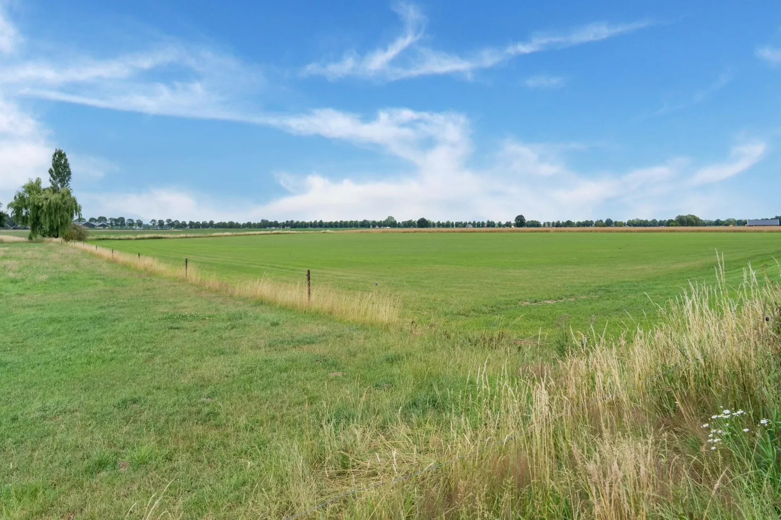 Hoeve Grenszicht-Gebieden zomer 1km