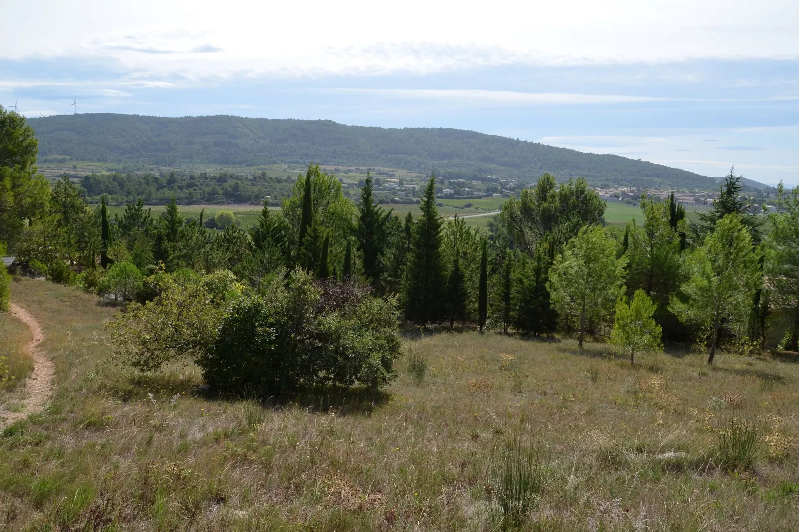 La Garrigue-Tuinen zomer