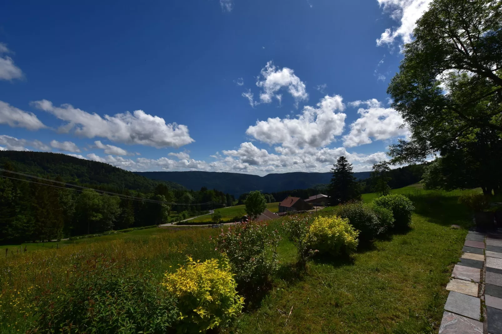 La Bergerie-Tuinen zomer