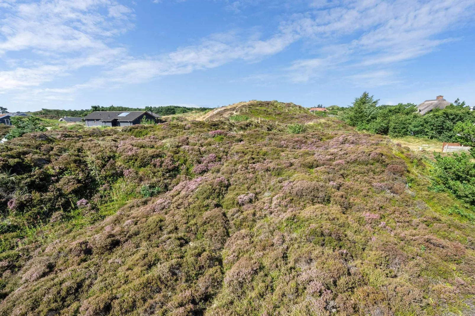 4 persoons vakantie huis in Henne-Buitenlucht