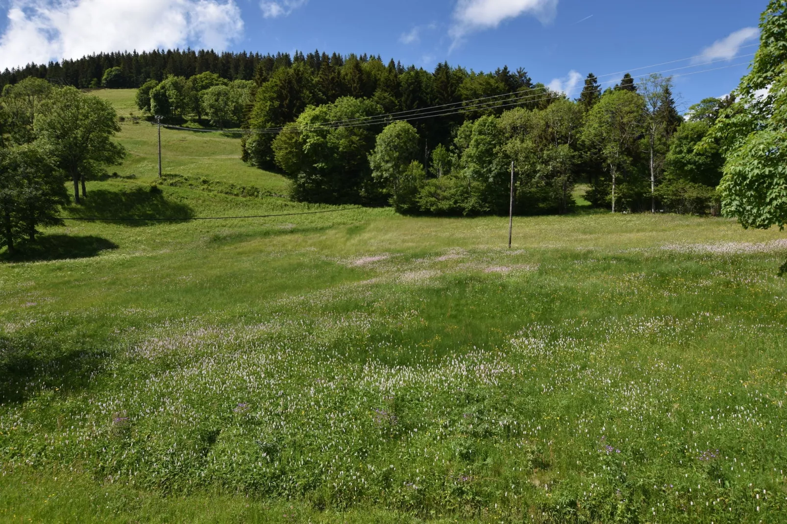 La Bergerie-Uitzicht zomer