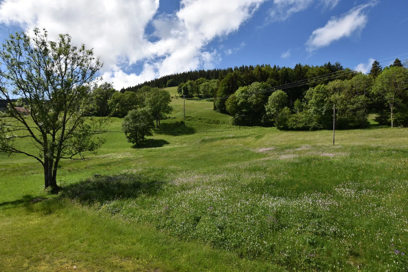 La Bergerie-Uitzicht zomer