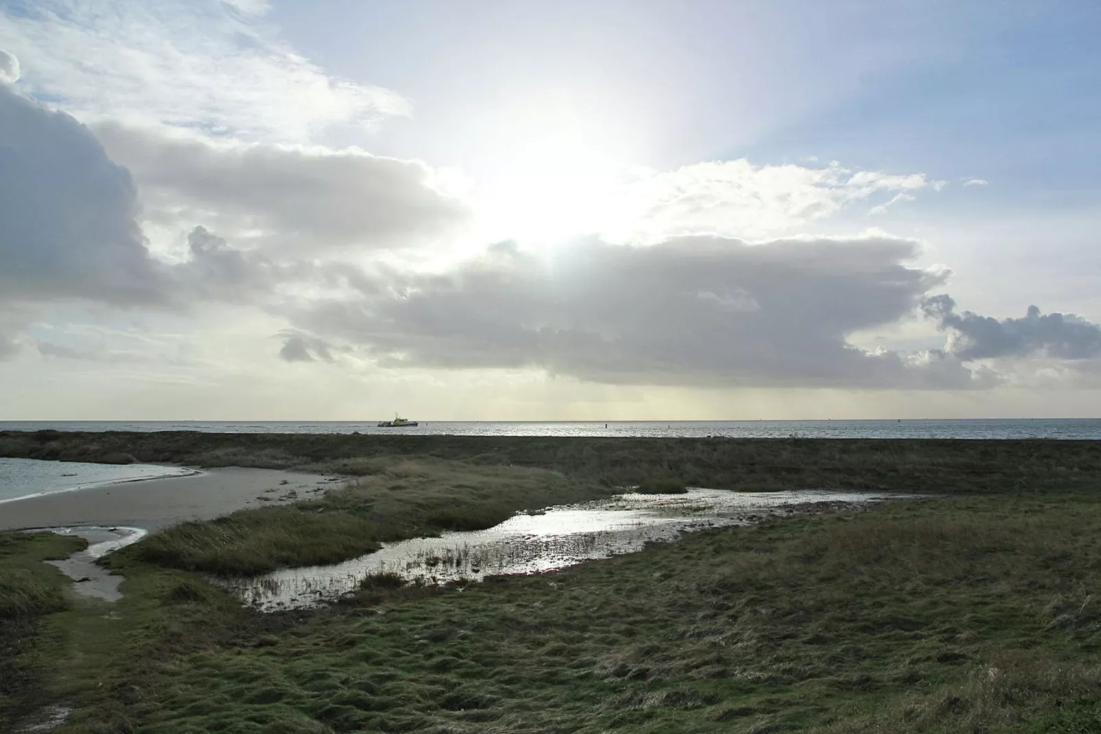 Duindroom op Terschelling-Gebieden zomer 1km