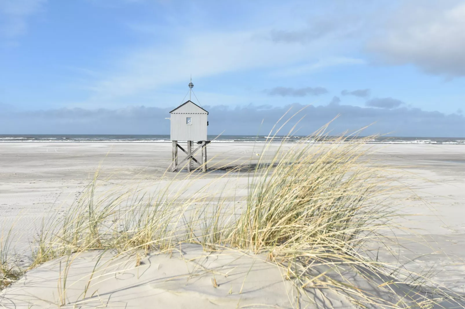 Duindroom op Terschelling-Gebieden zomer 5km