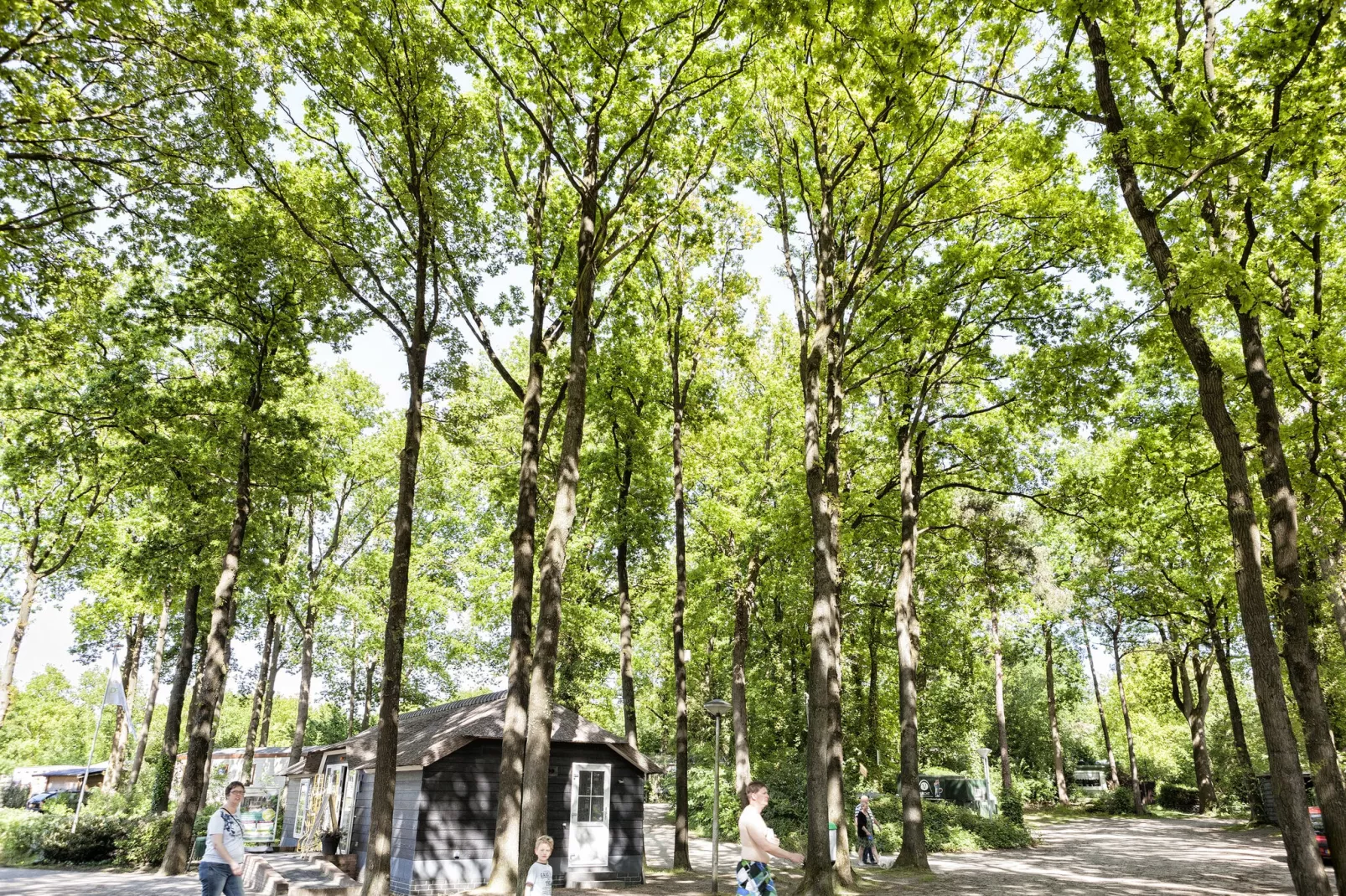 Vakantiepark de Vossenburcht 7-Gebieden zomer 1km