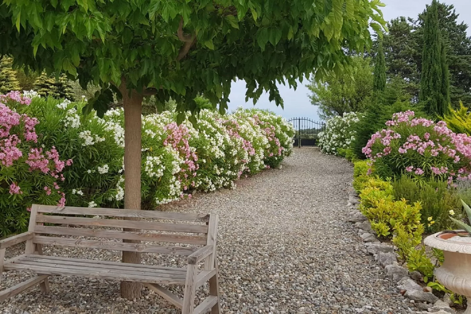 Villa à Camplong-Tuinen zomer