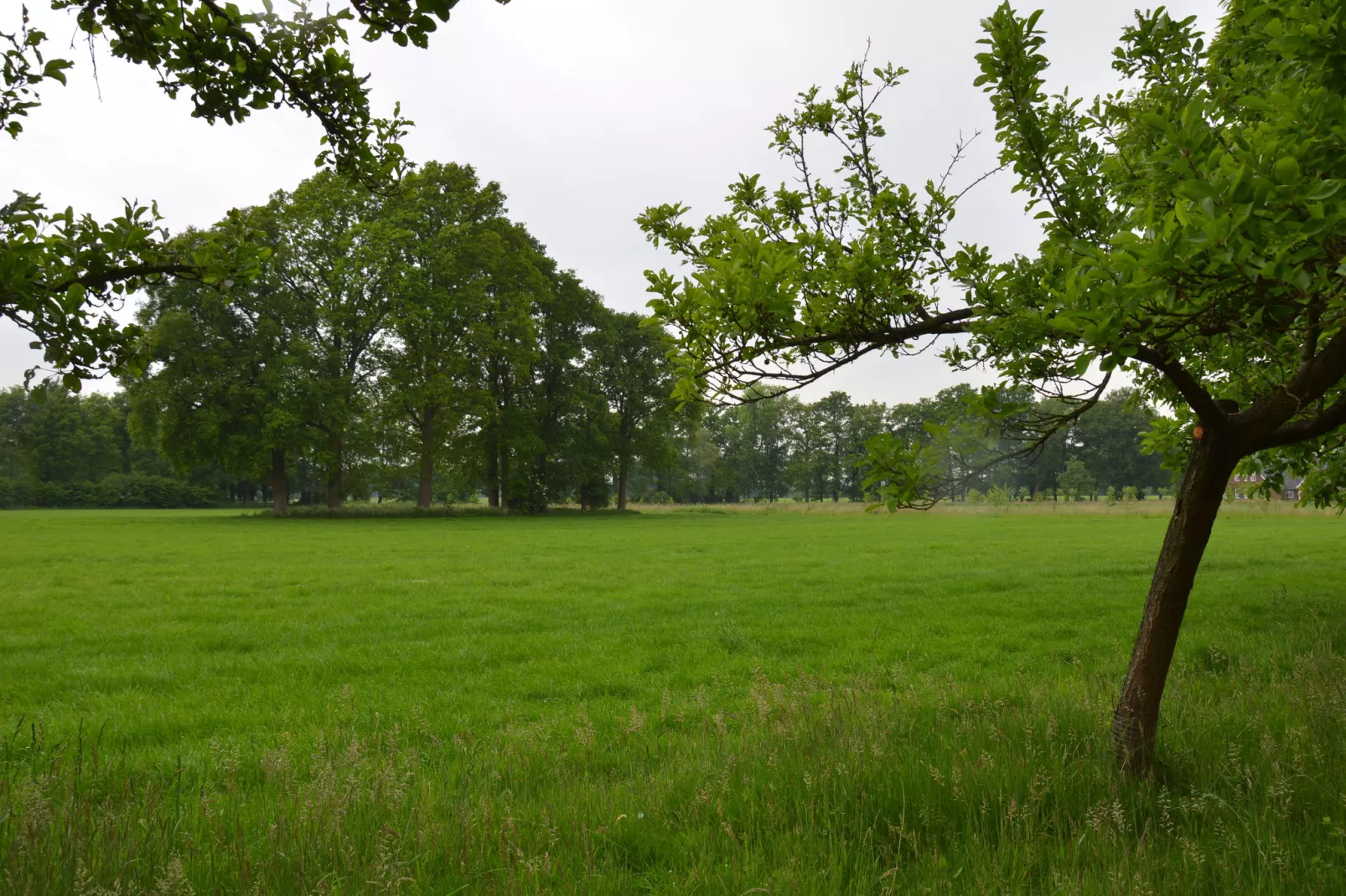 Huus in 't Hagt-Uitzicht zomer