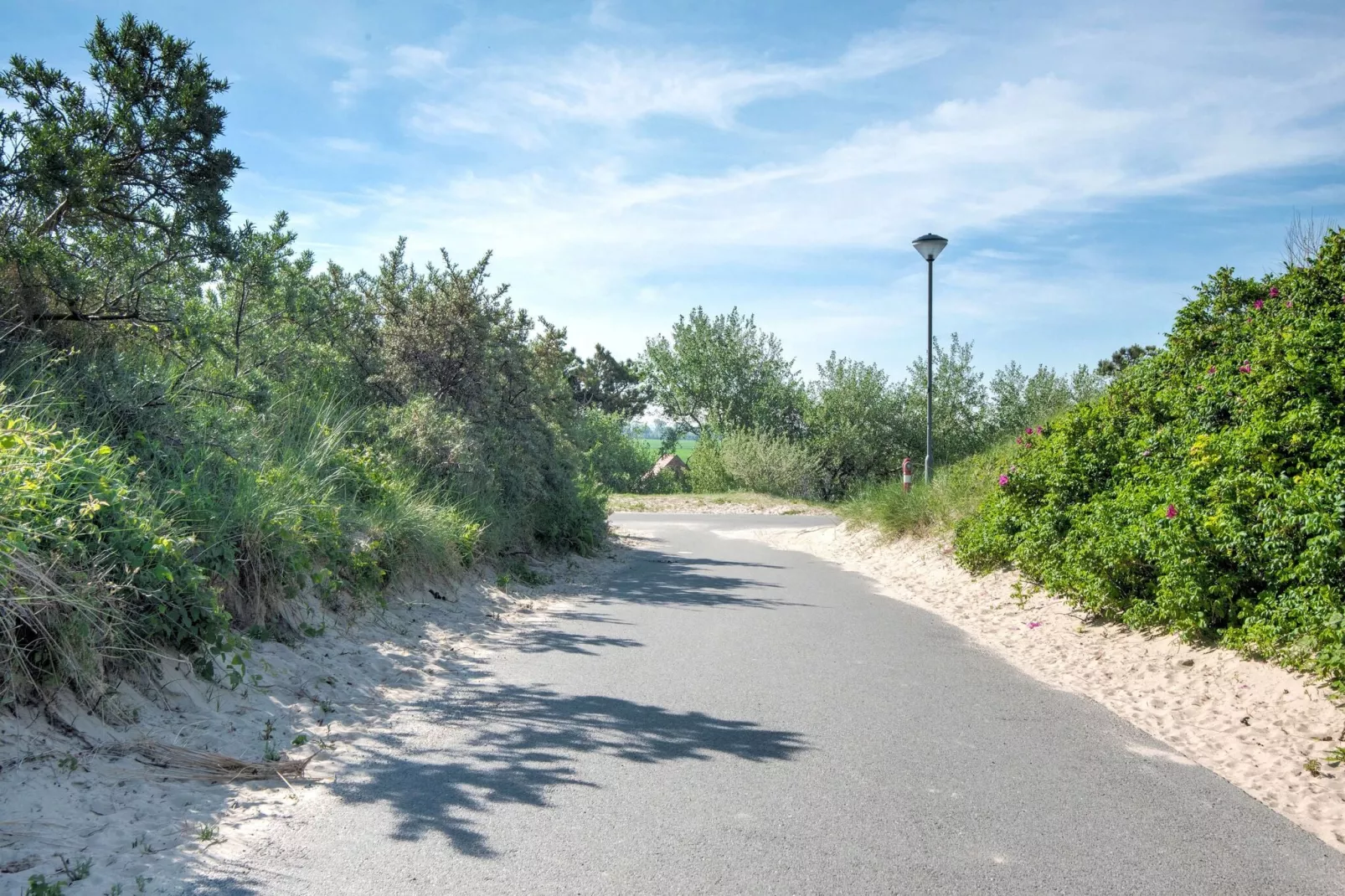 Het Zwarte Anker-Gebieden zomer 1km