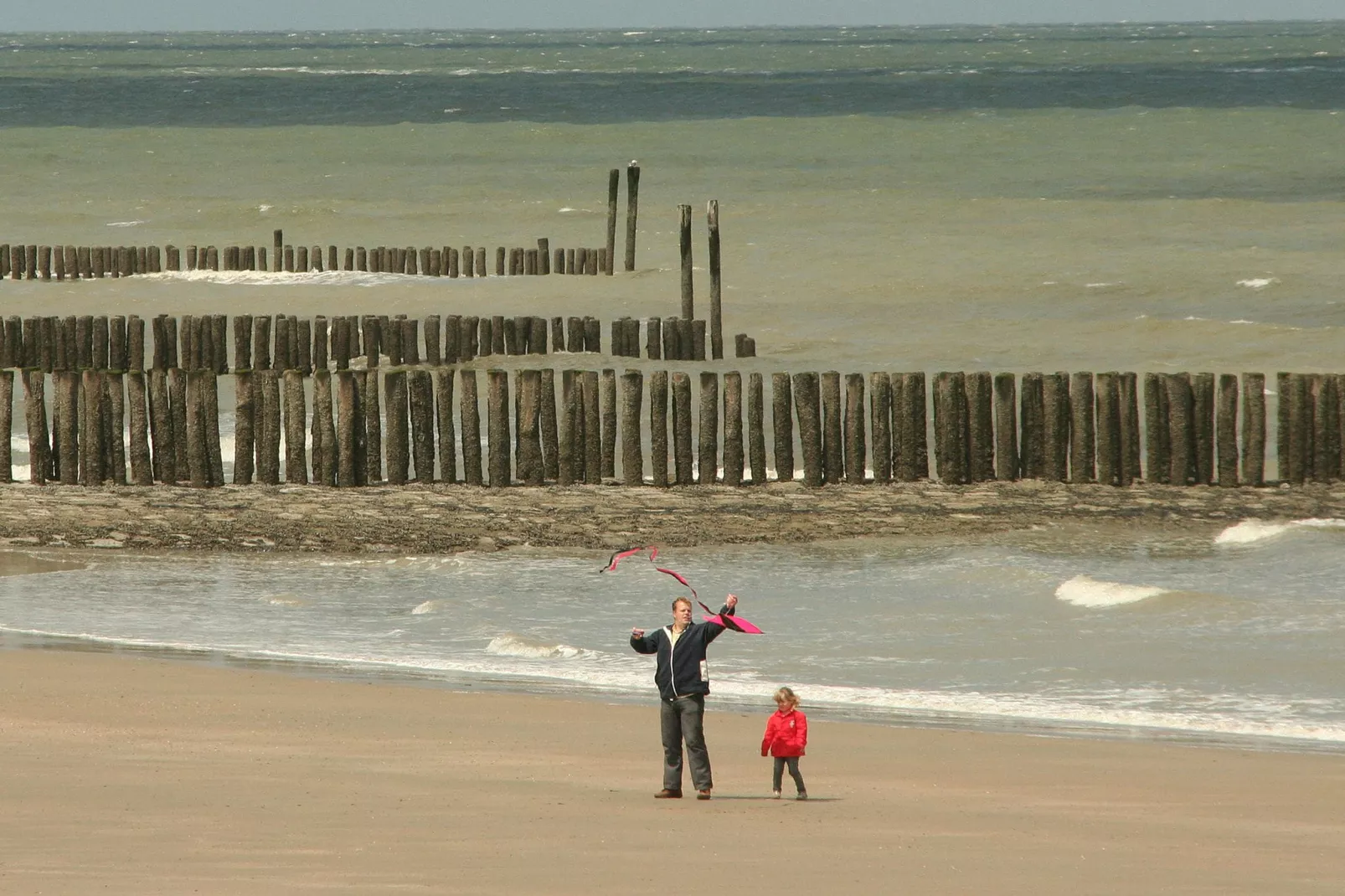 De Zeeschelp-Gebieden zomer 5km