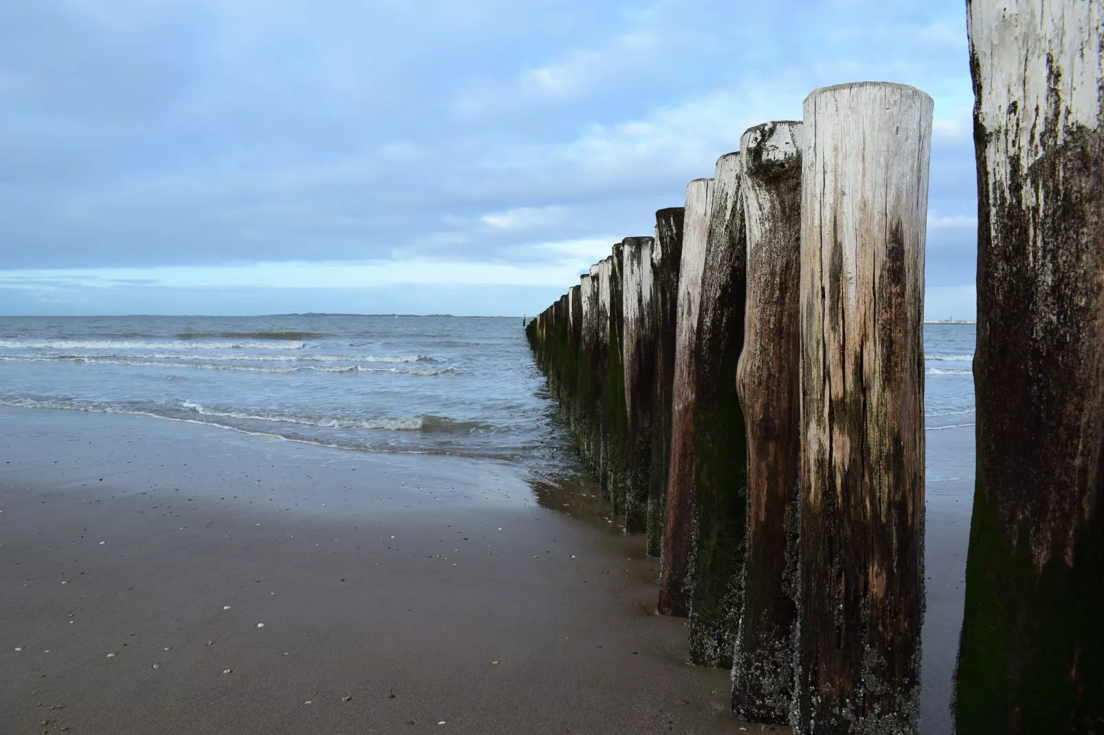 De Zeeschelp-Gebied winter 5km