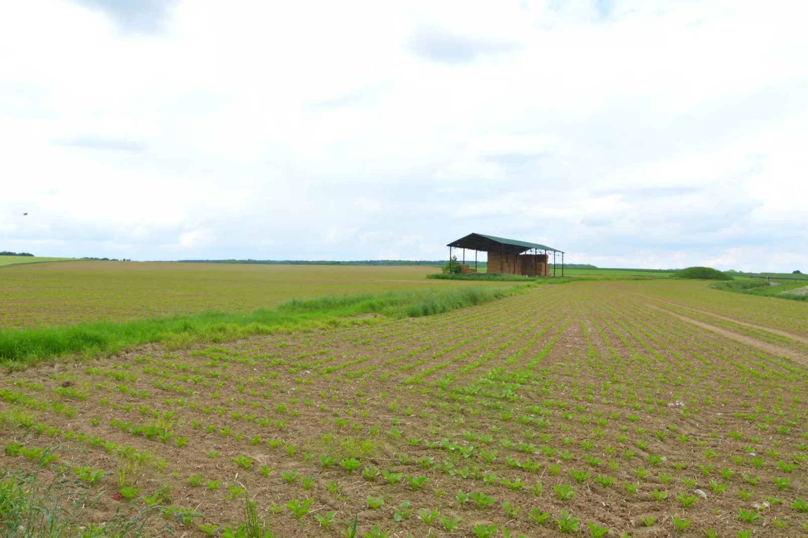 La Ferme de Foy 24-Gebieden zomer 5km