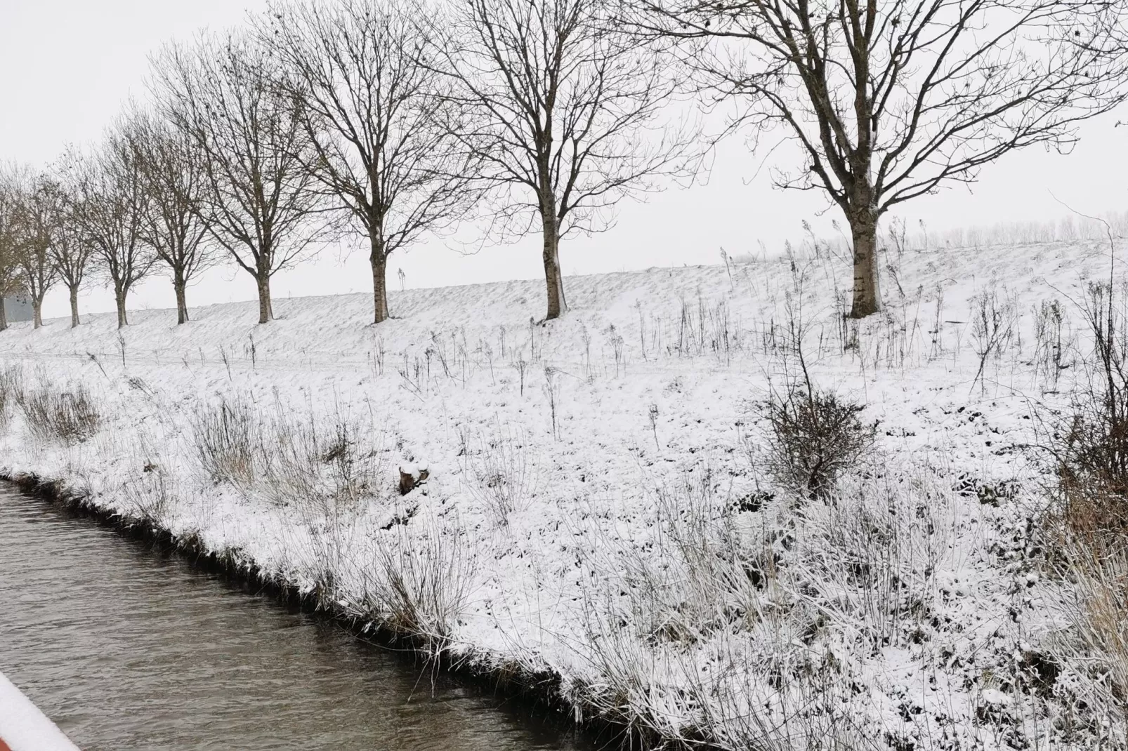 De Zeeschelp-Gebied winter 20km