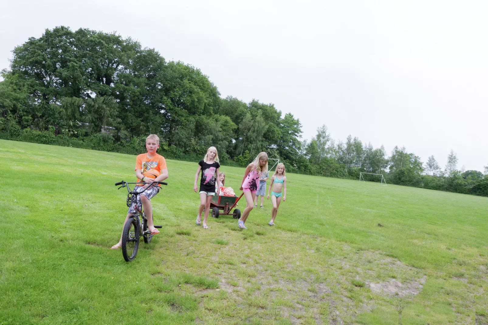 Vakantiepark de Vossenburcht 5-Gebieden zomer 1km